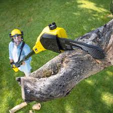 Best Tree Preservation Services  in Munroe Falls, OH